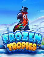 รีวิวบัญชี ทดลอง สล็อต สำหรับมือใหม่ ลองเล่นก่อนจริงจัง