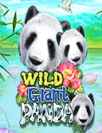 โต๊ะพนันบอล ราคา: ทดลองเล่นสุดมันส์จาก Joker Gaming